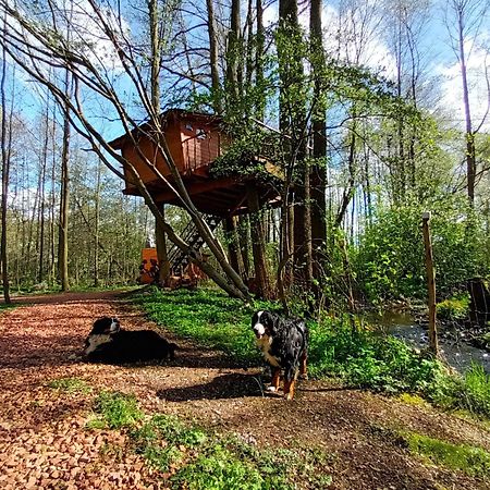 Treehouse V Brdech Villa Bohutín Exteriör bild