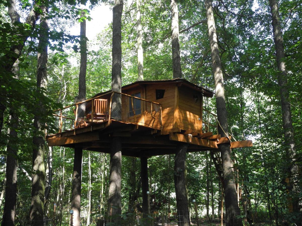Treehouse V Brdech Villa Bohutín Exteriör bild